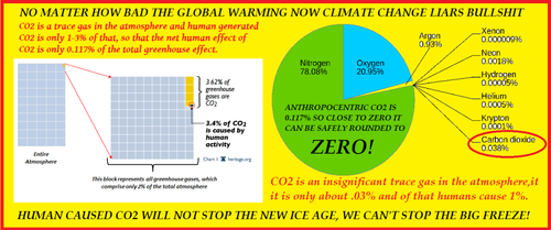 co2 is a trace gas and humans cant stop the ice age 002.png