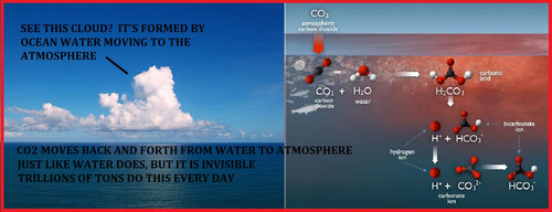 CO2 MOVES BACK AND FORTH FROM WATER TO ATMOSPHERE.jpg