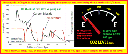 co2 levels dangerously low in pleistocene.gif