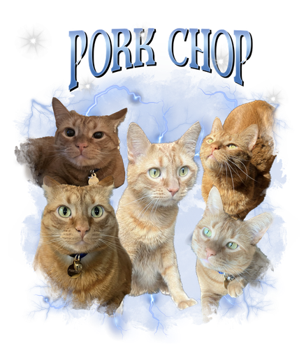 pork chop.png