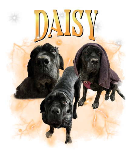 daisy.png