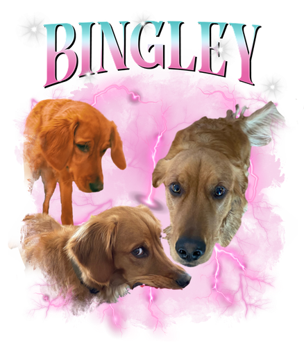 bingley.png