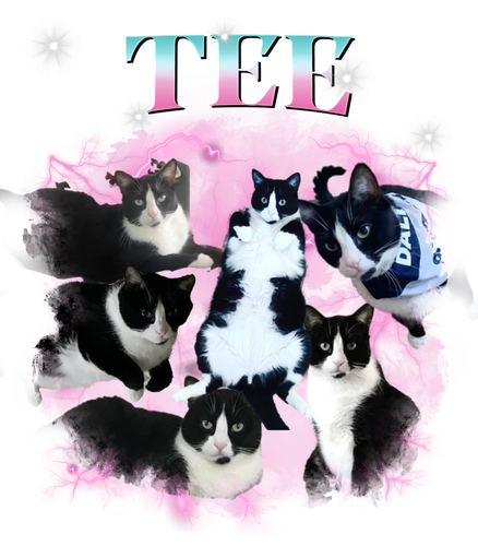 tee.png