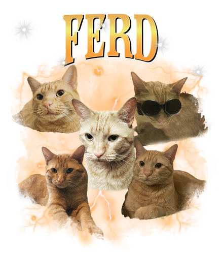 ferd.png