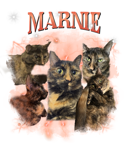 marnie.png