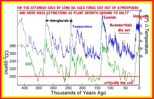 critically low co2 vs megafauna extinctions.jpg