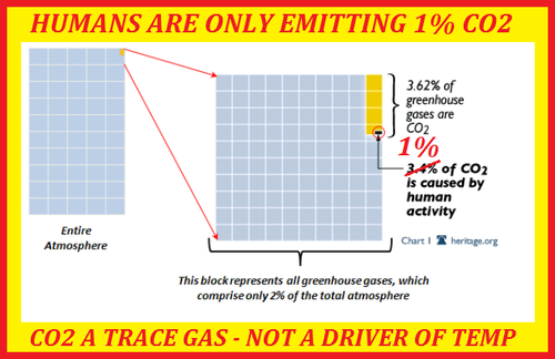 co2 trace gas chart not a temperature driver.png