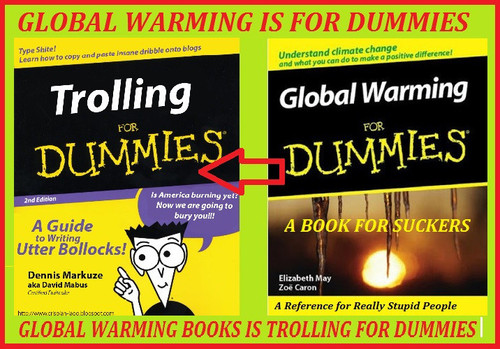 global warming is for dummies.jpg
