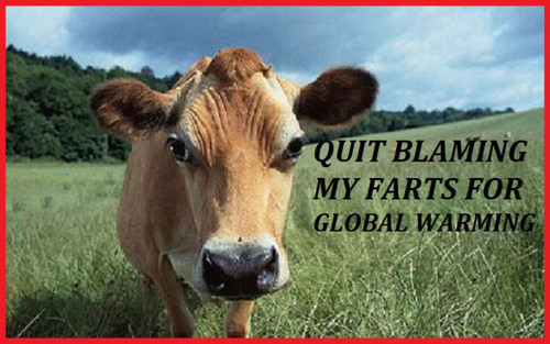 cow says quit blaming my farts for global warming.jpg