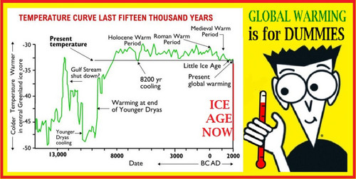 global warming is for dummies cartoon.jpg