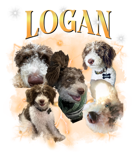 logan.png