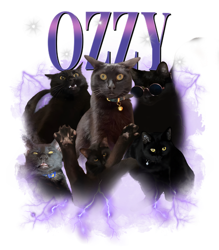 ozzy.png