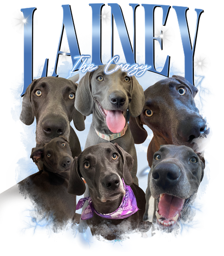 LAINEY.png
