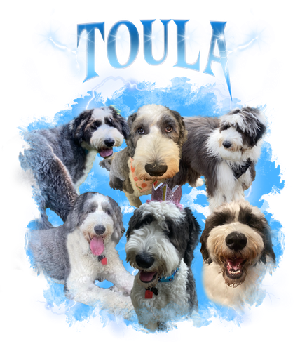 toula.png