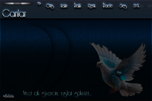 Güvercin.jpg