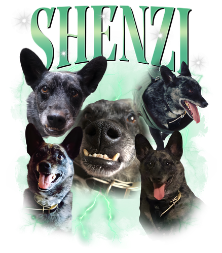 shenzi.png