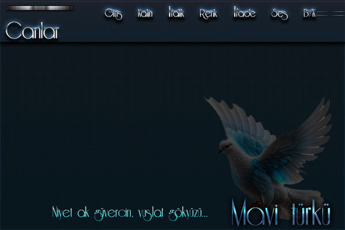 GĞVERCİN TEMA.jpg