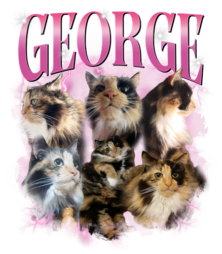 3122022968.png