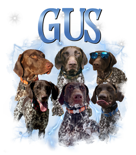 gus.png