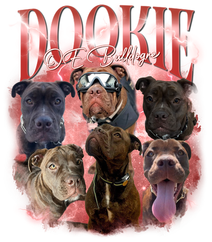 Dookie 3131513894.png