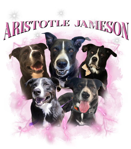 Aristotle Jameson.png