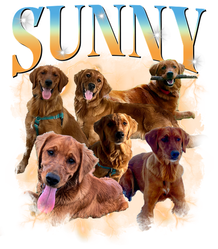 Sunny.png