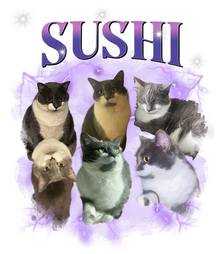 Sushi.png