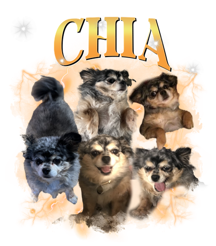 chia.png