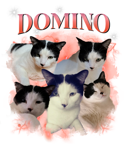 domino.png