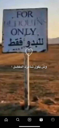 DB2B35F8 0CD1 4DD3 BB86 88DC1ACEE5CF.jpg