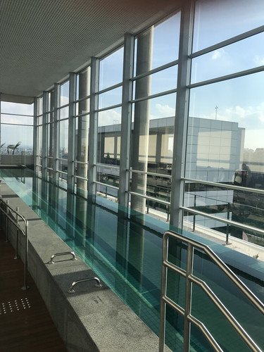 41659599704 f3fa319fad h.jpg