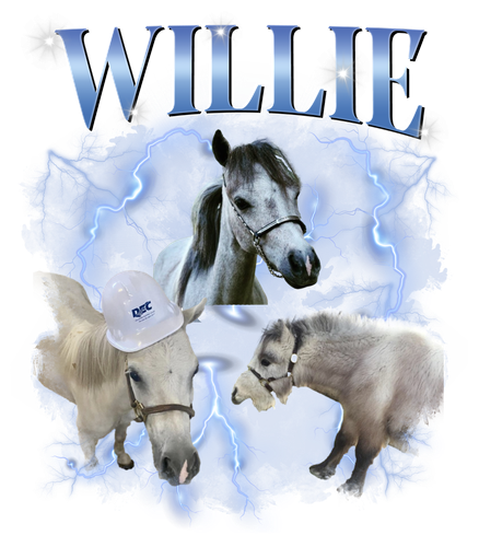 willie.png