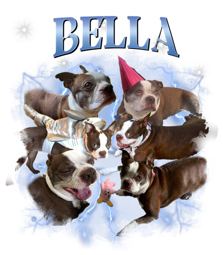 bella.png