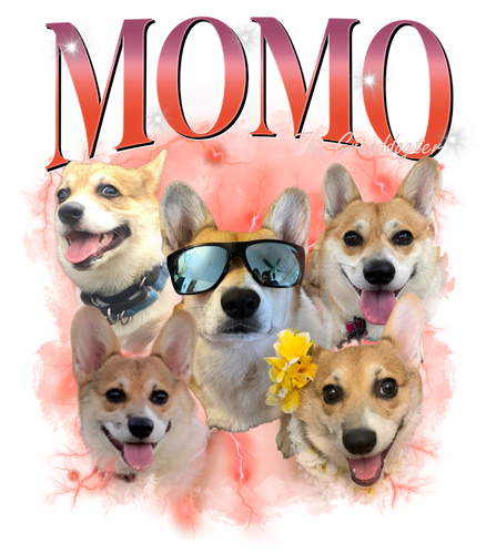 Momo.png