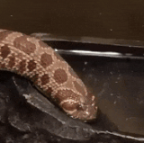 thread 0 20190831075814 s 1870166 w 270 h 188 75168