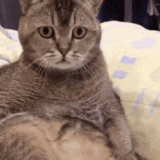 ezgif 4 b1a4ff6243.gif