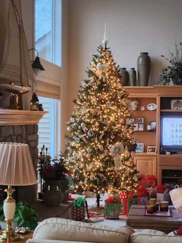 409040179 10233421027444766 7741501666074424700 n.jpg