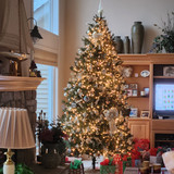 409040179 10233421027444766 7741501666074424700 n