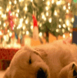 ezgif 3 f409e8e344.gif