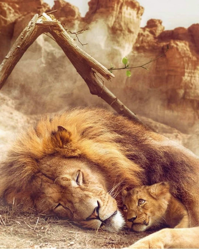 images%2Fimage 1702081181986.jpg