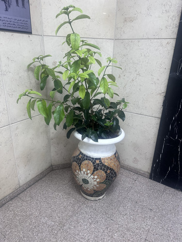 DC1CD968 3E8D 46F9 BB3C 0DFD177D63A5.jpg