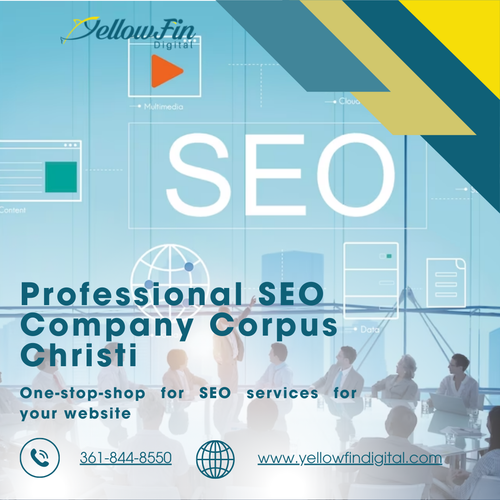 Professional SEO Company Corpus Christi.png