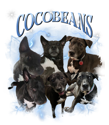 cocobeans.png