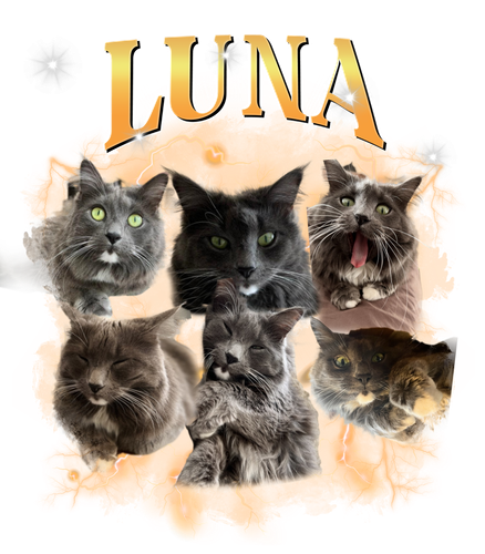 luna 3.png