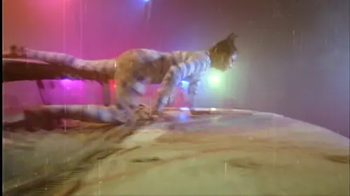 uc?id=1EVIZF7mNRZ6UIbY F2zfmkq Qrjn 4az&export=download.webp