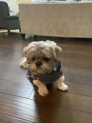 7215BFA0 0C27 4459 8A7C 8608CF382E73.jpg