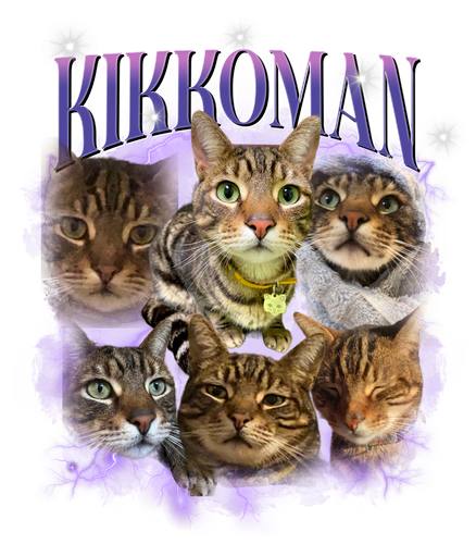 Kikkoman.png