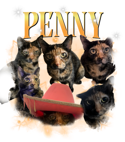 Penny.png