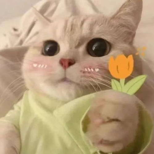 image.jpg