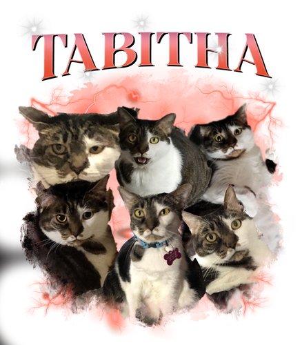 tabitha.png